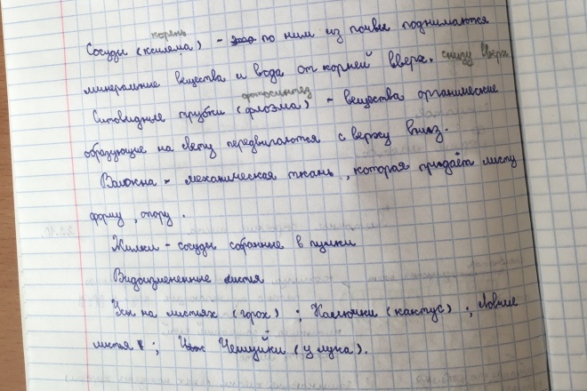 Помогу набрать текст с аудио, фото, видео