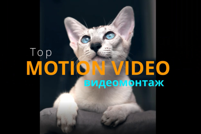 Видеомонтаж