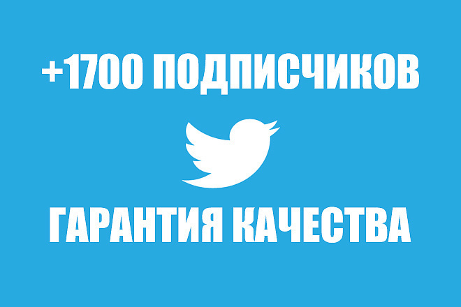 1700 подписчиков на ваш аккаунт Twitter