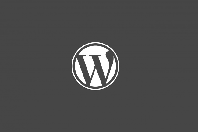 Сделаю 1 правку на wordpress сайте