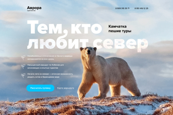 Адаптивный дизайн Landing page. Профессионально