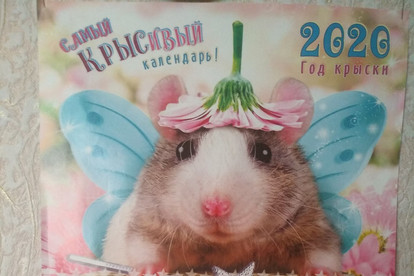 Изготовление флаеров,листовок и календарей
