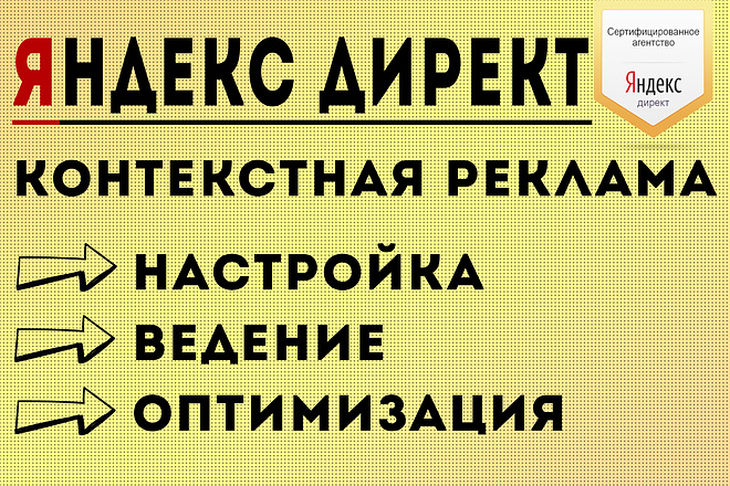 Контекстная реклама. Ведение Яндекс Директ. Директолог