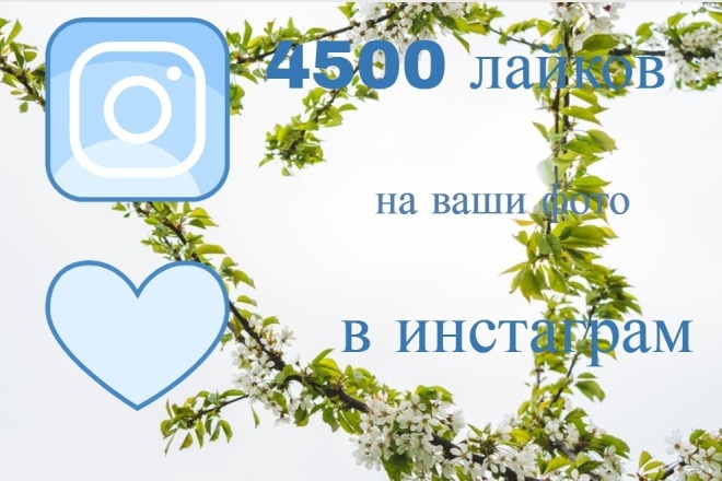 4500 лайков на ваши фото в инстаграм
