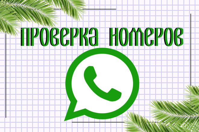 Проверка номеров WhatsApp