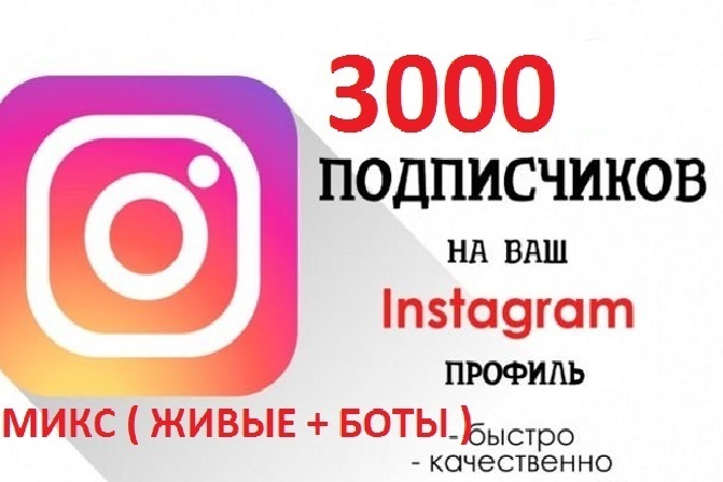 3000 подписчиков