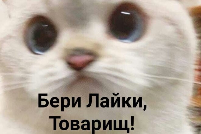 Поставлю лайки на ваше фото