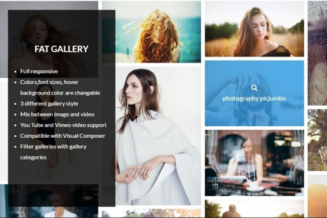 WP - Плагин красивой функциональной галереи FAT Image Gallery