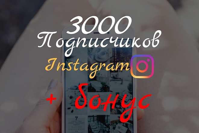 Подписчики в instagram - 3000