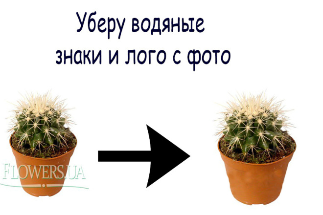 Уберу водяные знаки и лого с фото