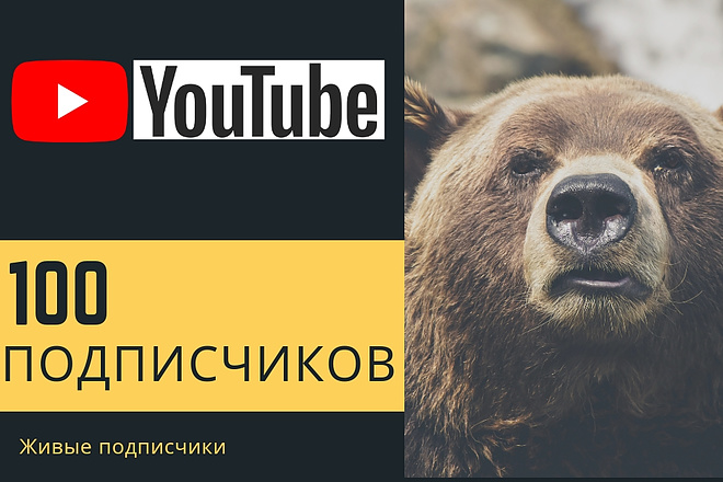 100 живых подписчиков на YouTube