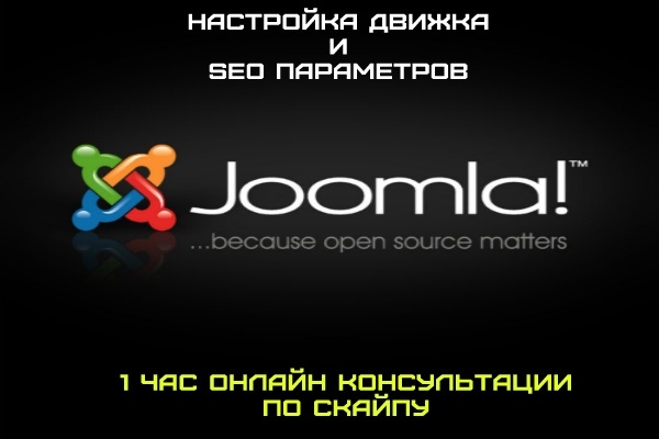 Консультация в Skype по продвижению вашего сайта на Joomla