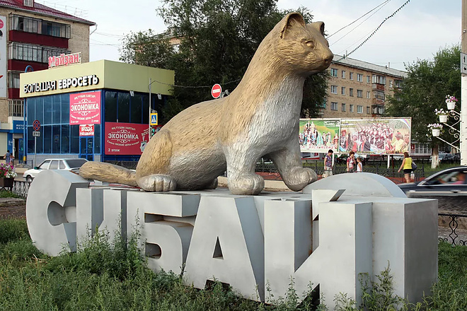 База компании Сибай
