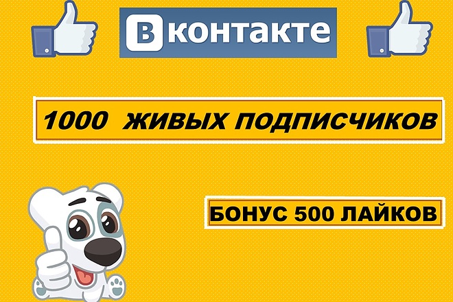 1000 подписчиков Вконтакте + бонус 500 лайков