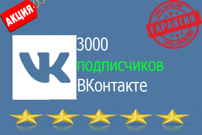 3000 подписчиков в ВКонтакте + 200 лайков бонус. Выгодное предложение