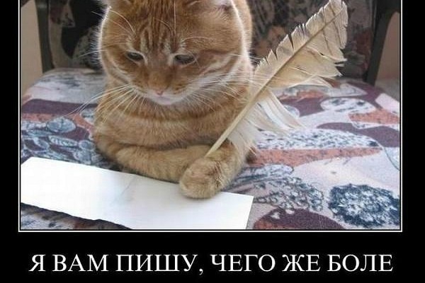 Пишу стихи любые от поздравлений до рекламы