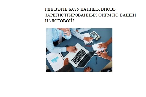 Список новых предприятий по любой налоговой