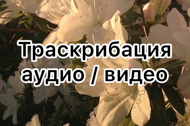 Переведу аудио и видео в текст