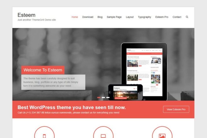 Премиум шаблоны Wordpress