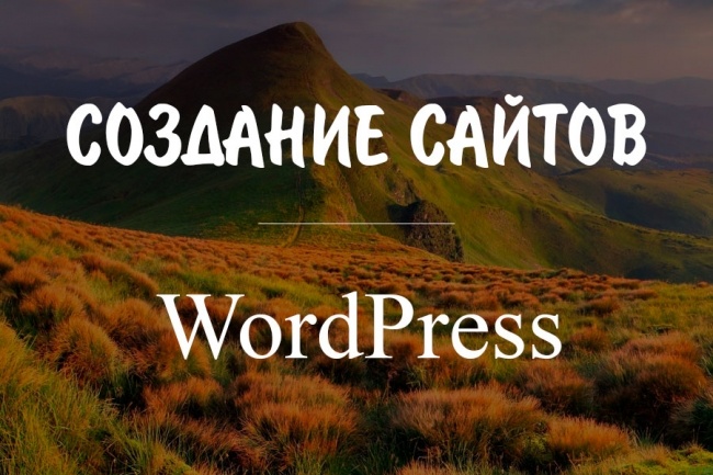 Создам простой сайт на CMS Wordpress