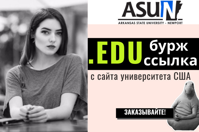 Бурж EDU ссылка. Домену 18 лет. Трастовая ссылка с сайта универа США