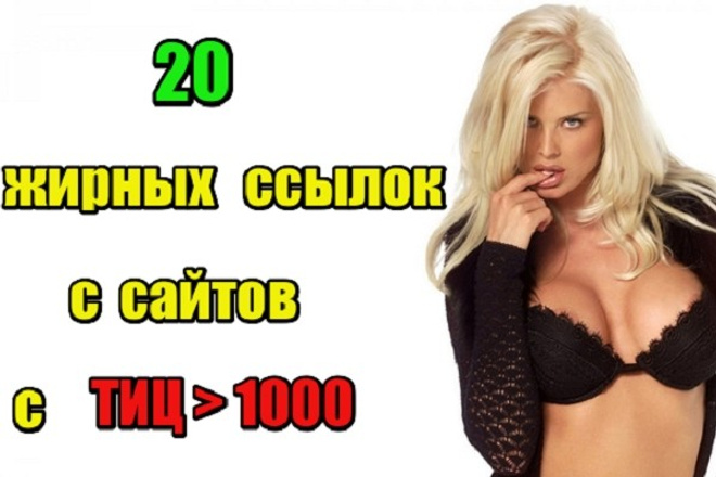 20 жирных вечных ссылок с сайтов с ТИЦ более 1000 у каждого