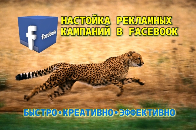 Настройка рекламных кампаний в facebook