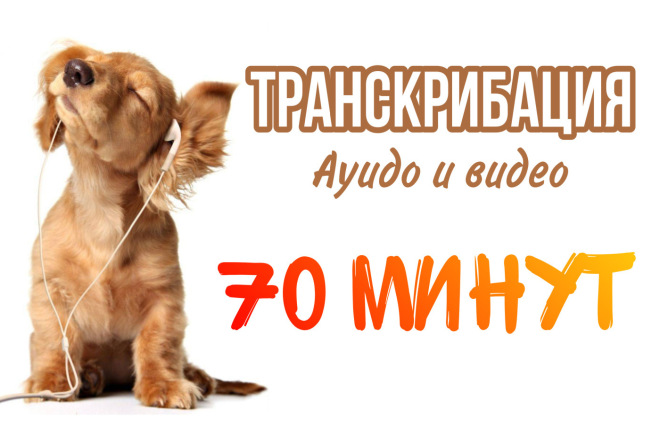 Транскрибация до 70 минут