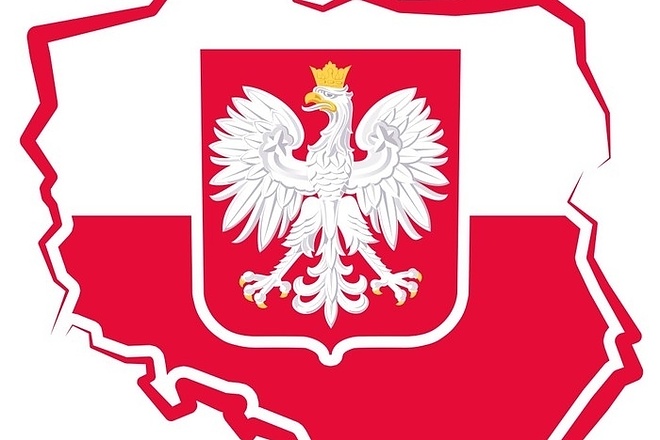 Переведу из польского на русский, из русского на польский