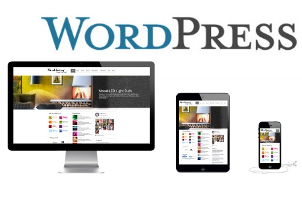 250 тем в одном универсальном шаблоне для Wordpress