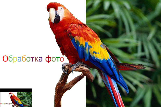 Обработка фото в программе Photoshop