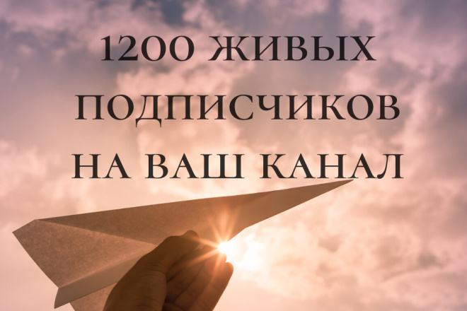 1200 подписчиков на Ваш Telegram канал + бонус