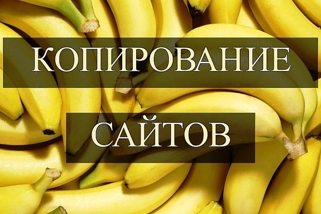 Скопировать сайт