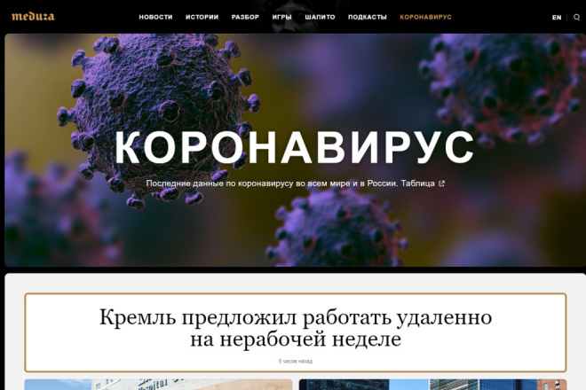 Создам сайт о коронавирусе на wordpress или новостной