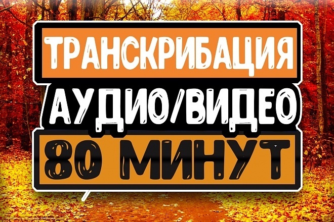 Транскрибация 80 мин, перевод из аудио, видео в текст