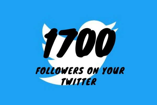 1700 подписчиков в ваш аккаунт Twitter