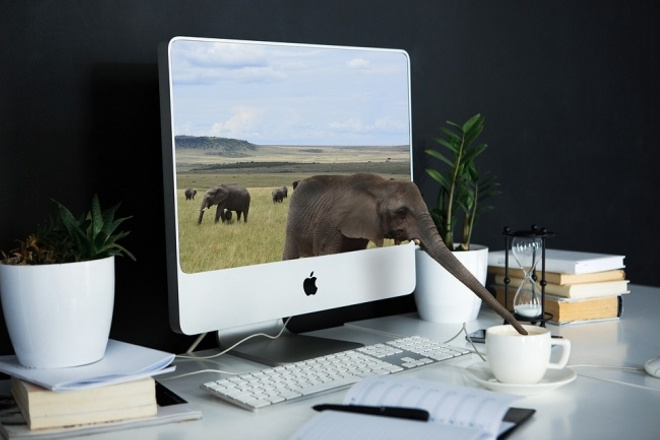Удаление фона в Photoshop