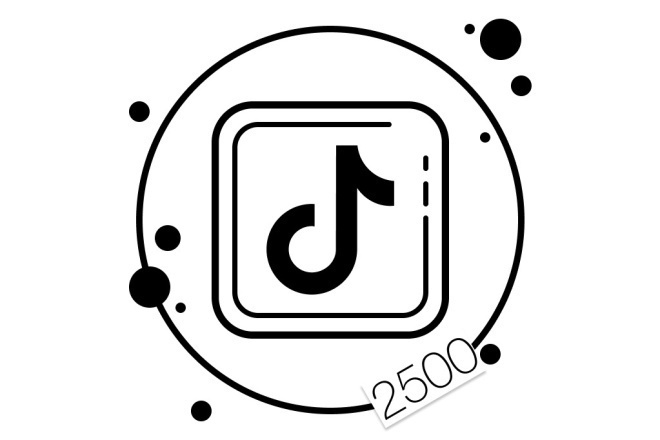 2500 подписчиков TikTok с гарантией