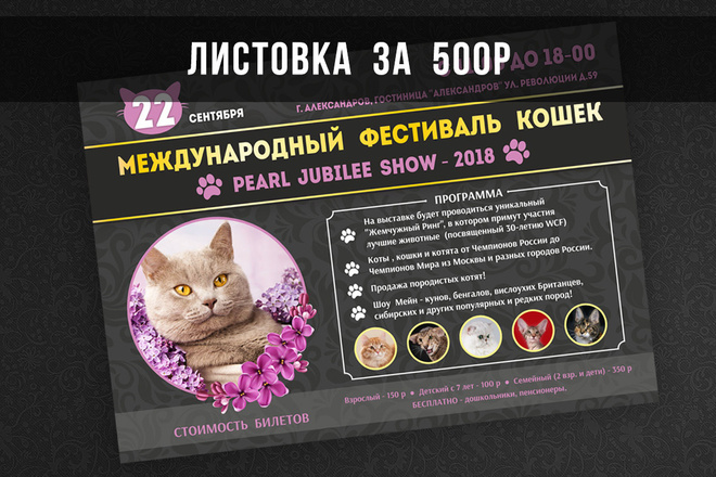 Создам дизайн листовки