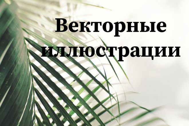Создаю векторные иллюстрации
