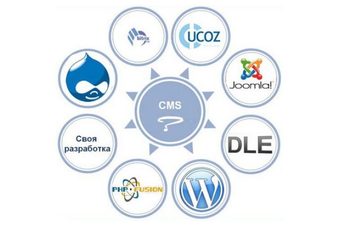 Устанавливаю любую cms Dle, Drupal, WordPress, Opencart, и т. д