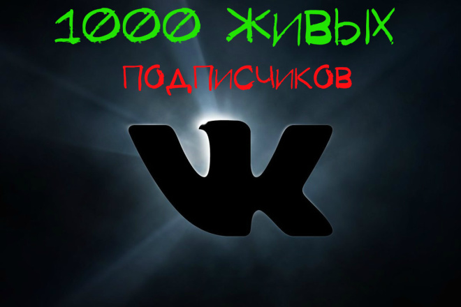 1000 ЖИВЫХ подписчиков вконтакте на профиль или группу