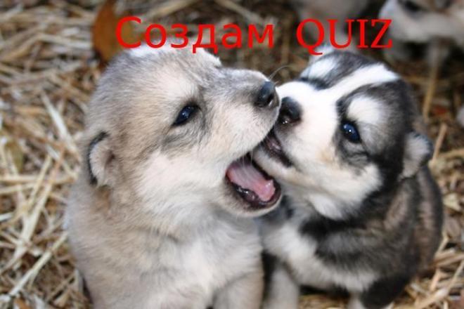 Создам QUIZ на конструкторе Marquiz