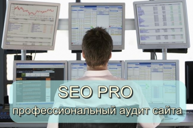 Профессиональный SEO аудит сайта