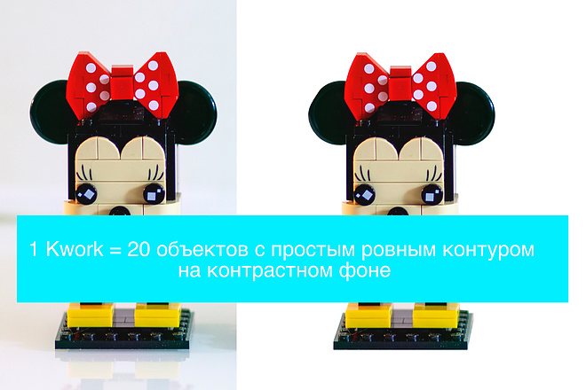 Качественно и быстро вырежу объект с фото