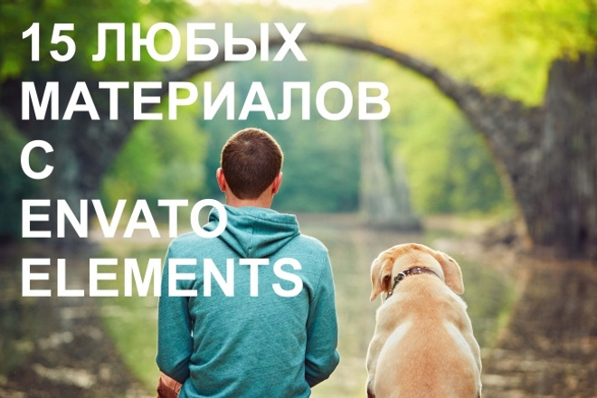 15 любых материалов с Envato Elements + жирный бонус