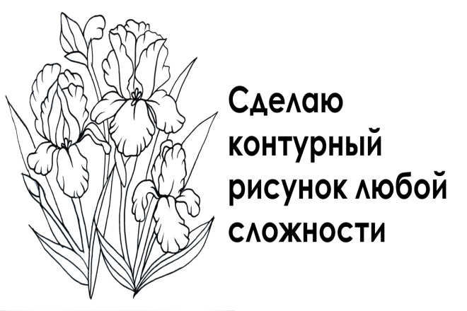 Сделаю контурный рисунок