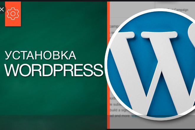 Установлю CMS WordPress