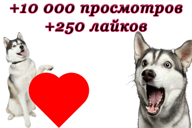 ТикТок оптом + 10 000 просмотров + 250 лайков