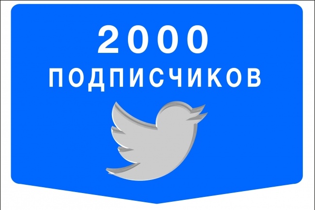 2000 твиттер подписчиков